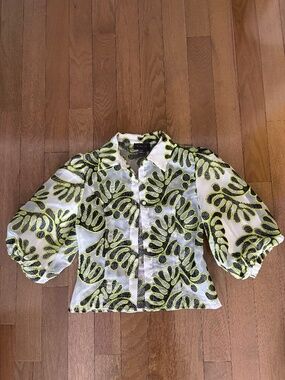 Sheer Puff Sleeve Embroidered Blouse